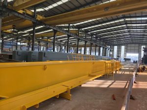 Custom Crane Services: Non-Standard Overhead Cr...