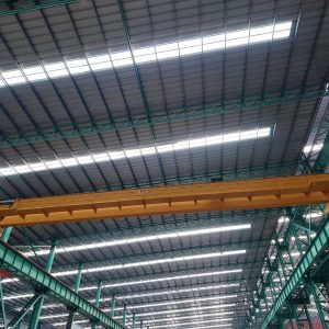 Single Girder vs Double Girder Overhead Crane: ...